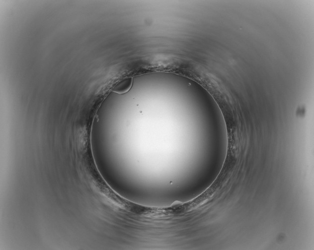 X0000094230563200711021206