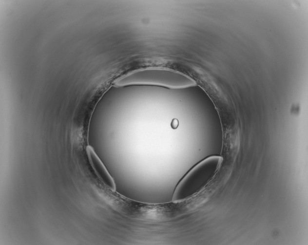 X0000094230564200711021206