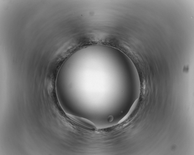 X0000094230566200711021206