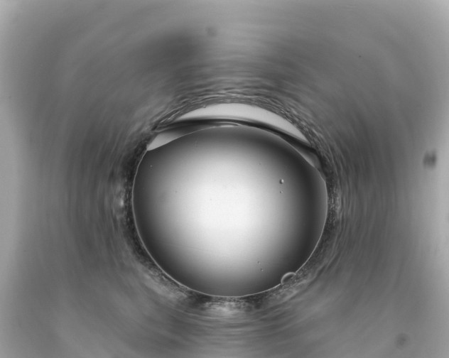 X0000094230567200711021206