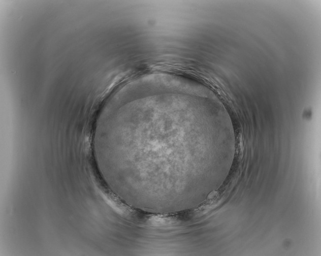 X0000094230568200711021206