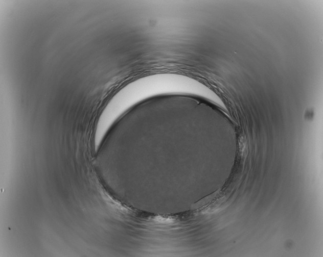 X0000094230570200711021206