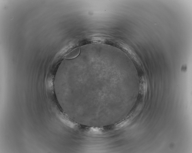 X0000094230573200711021206