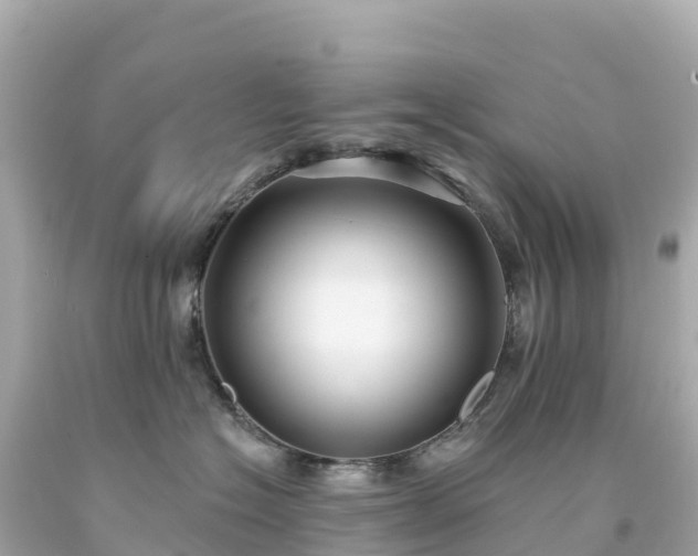 X0000094230574200711021206