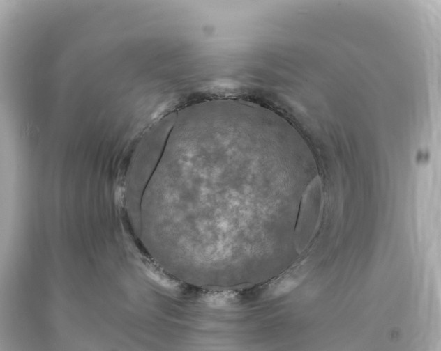 X0000094230576200711021206