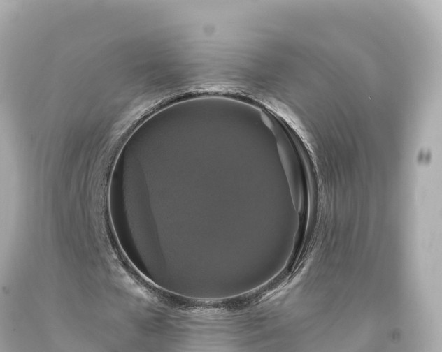 X0000094230577200711021205