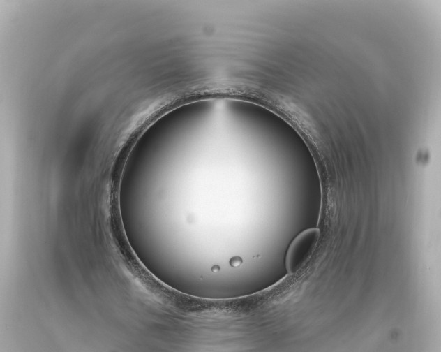 X0000094230578200711021205