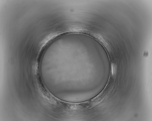 X0000094230579200711021205