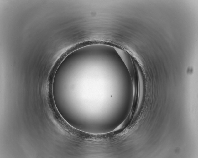 X0000094230580200711021205