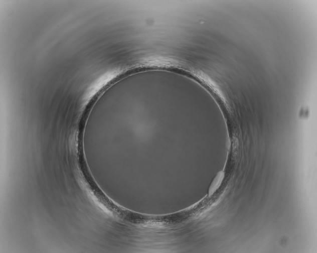 X0000094230581200711021205