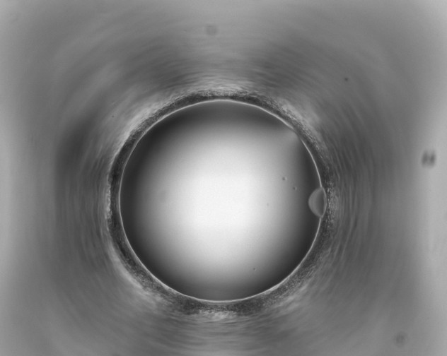 X0000094230582200711021205