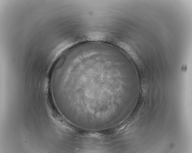 X0000094230583200711021205