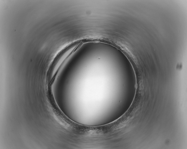 X0000094230584200711021205