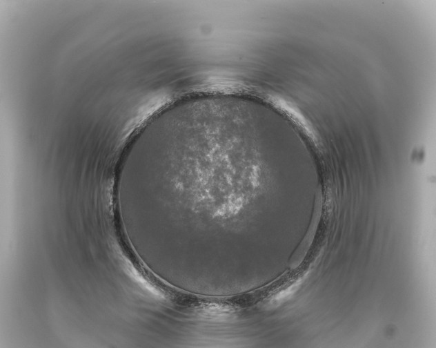 X0000094230585200711021205