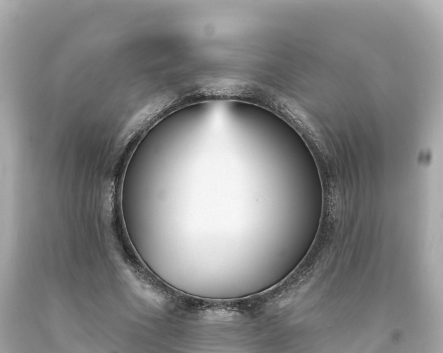 X0000094230586200711021205