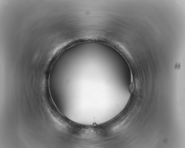 X0000094230588200711021205