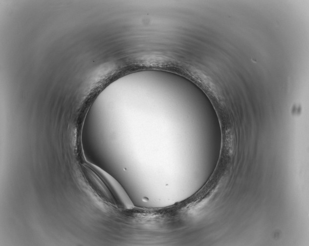 X0000094230589200711021205