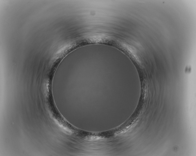 X0000094230590200711021205