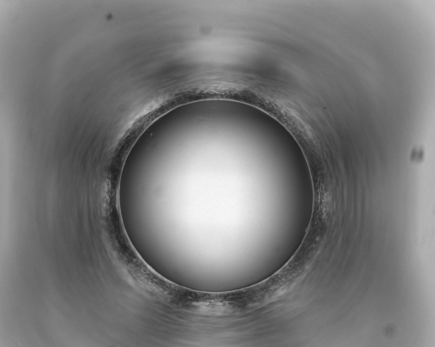 X0000094230591200711021205