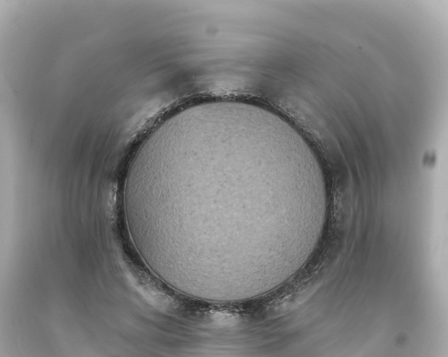 X0000094230592200711021205