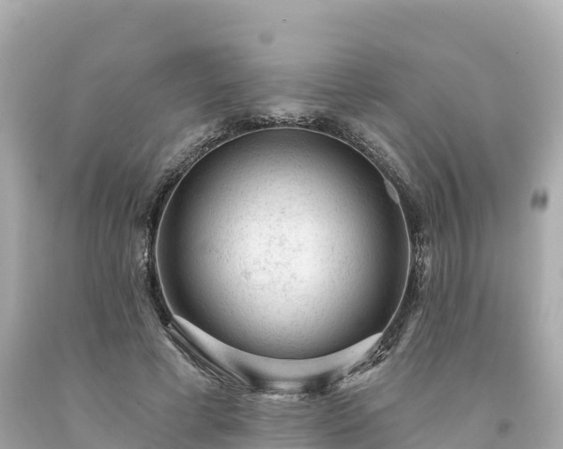 X0000094230593200711021205