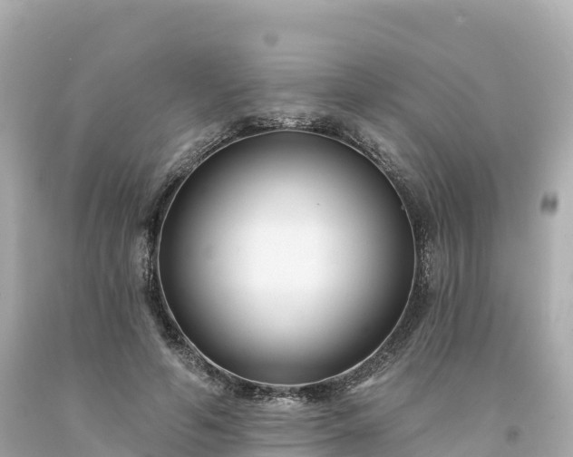 X0000094230594200711021205