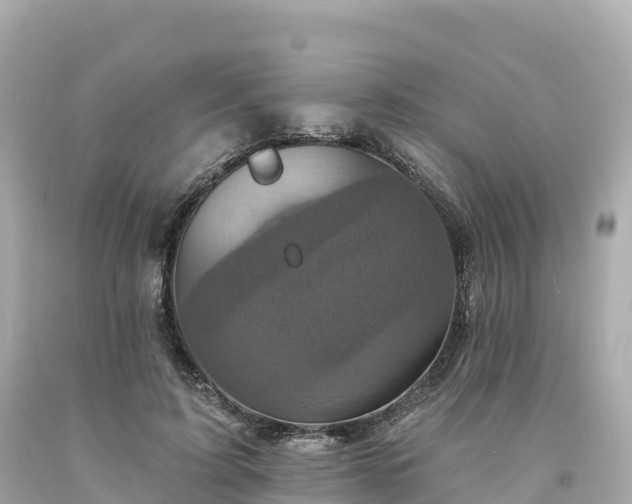 X0000094230595200711021205