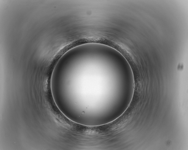 X0000094230596200711021205