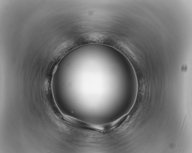 X0000094230597200711021205