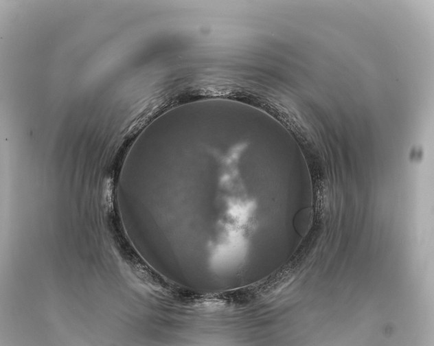 X0000094230598200711021205