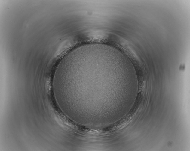 X0000094230599200711021205