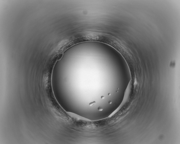 X0000094230600200711021205