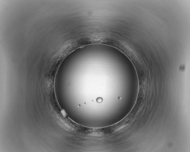 X0000094230601200711021205