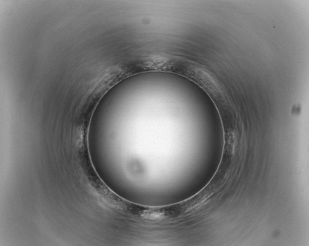 X0000094230602200711021205