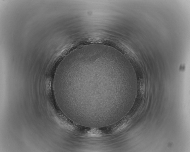 X0000094230603200711021205