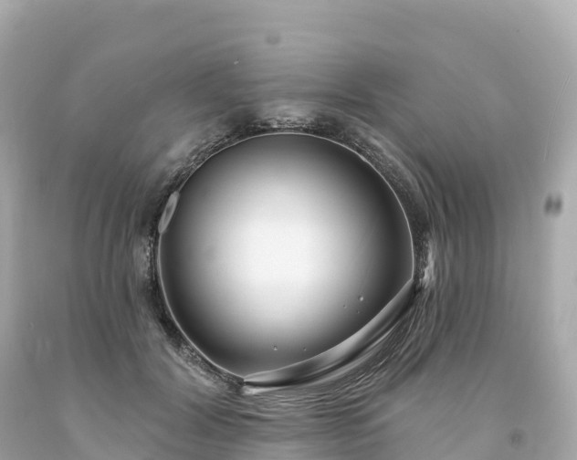 X0000094230604200711021205