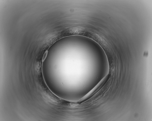 X0000094230605200711021204