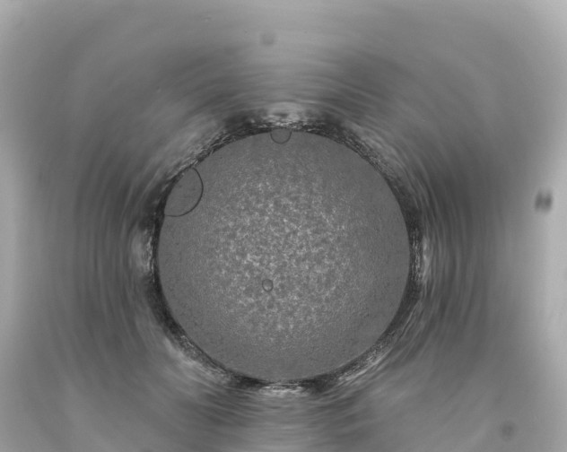 X0000094230606200711021204