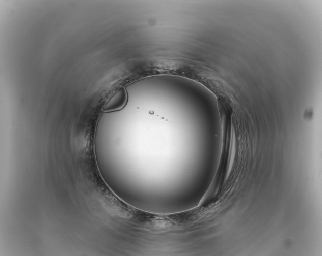 X0000094230608200711021204