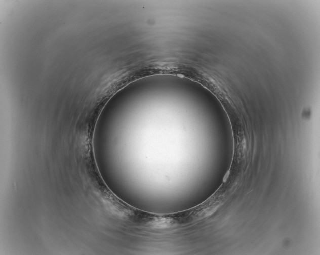 X0000094230609200711021204