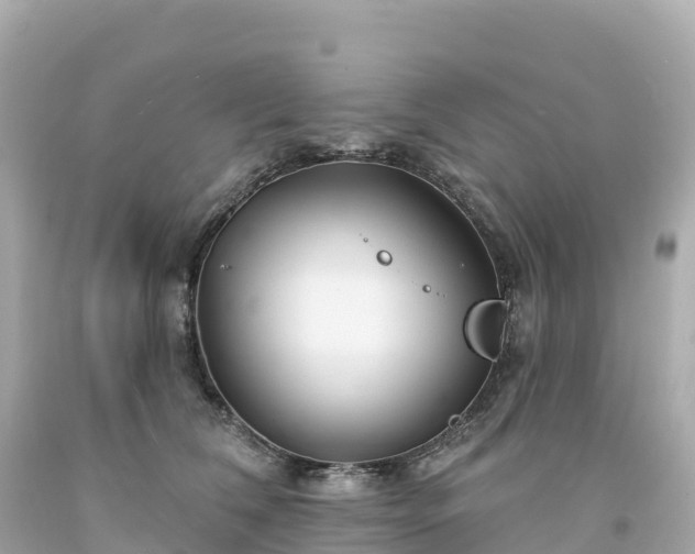 X0000094230612200711021204