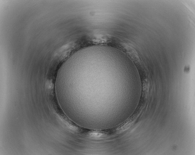 X0000094230614200711021204