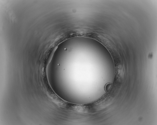 X0000094230615200711021204