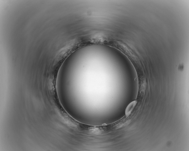 X0000094230616200711021204