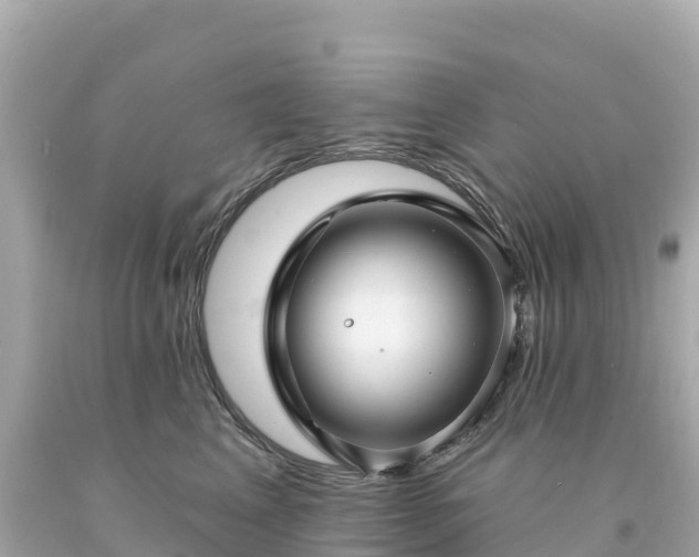 X0000094230617200711021204