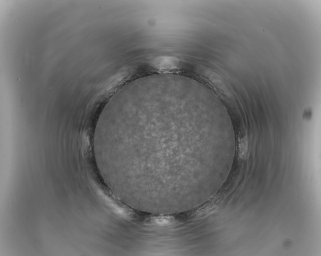 X0000094230618200711021204