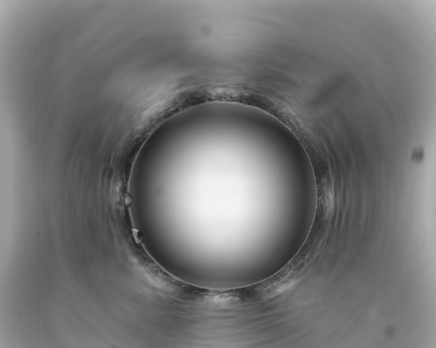 X0000094230619200711021204