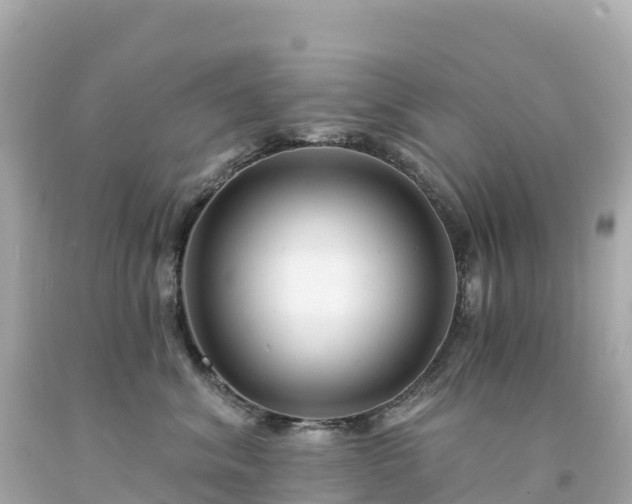 X0000094230620200711021204