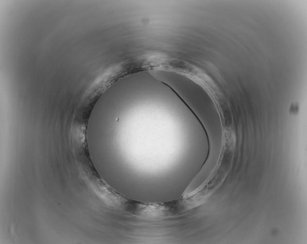 X0000094230621200711021204