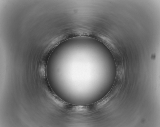 X0000094230622200711021204